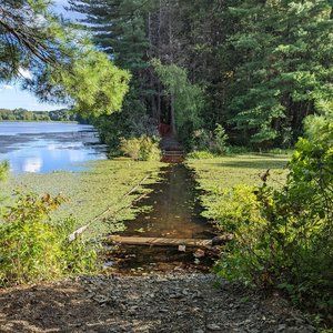 Meet your Posher, Dan